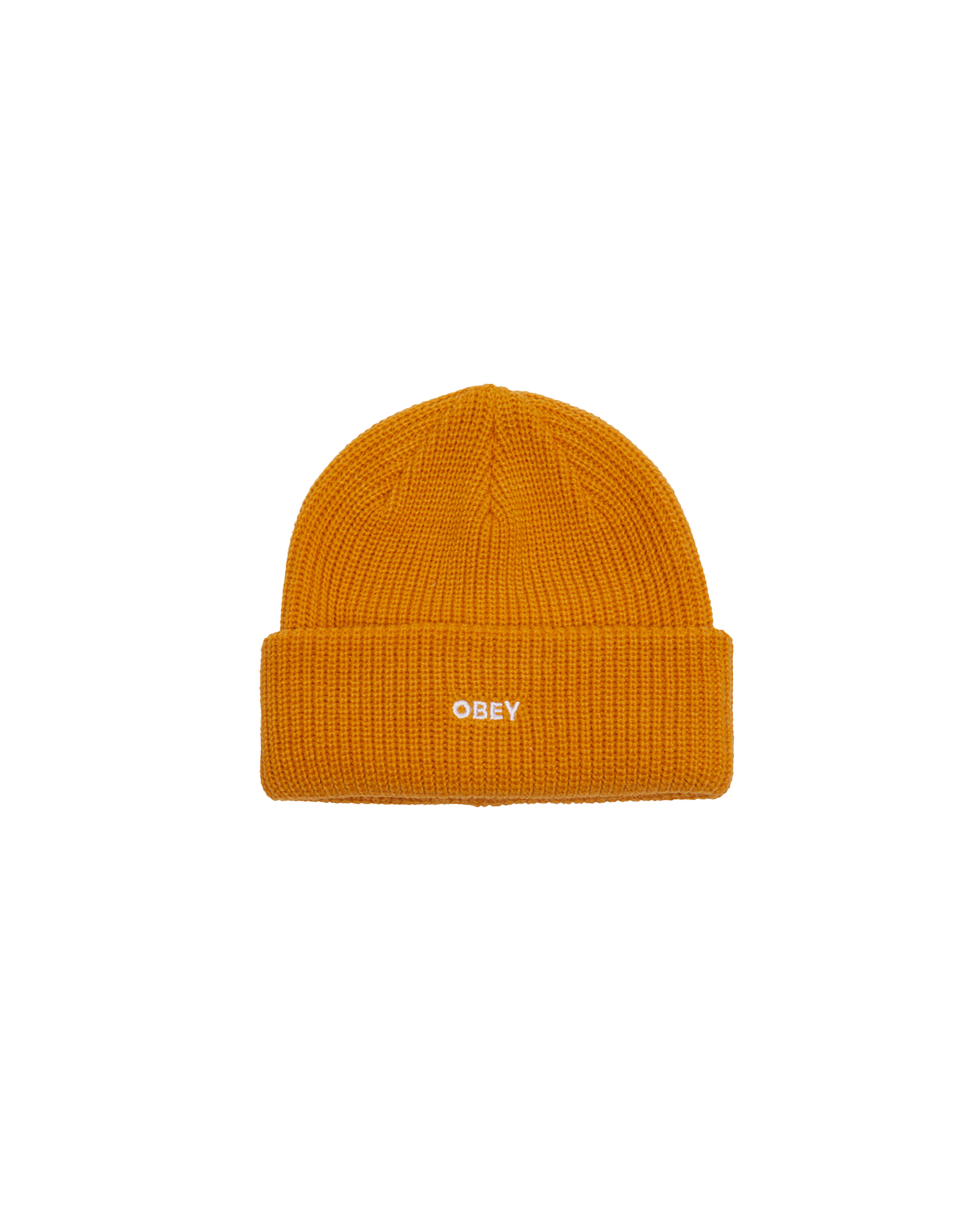 FUTURE BEANIE
