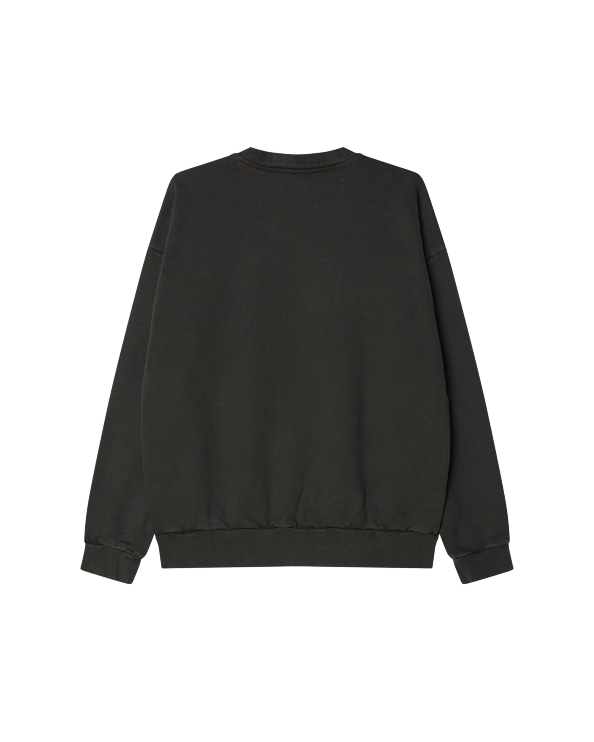 LOWERCASE PIGMENT CREWNECK - Image 2