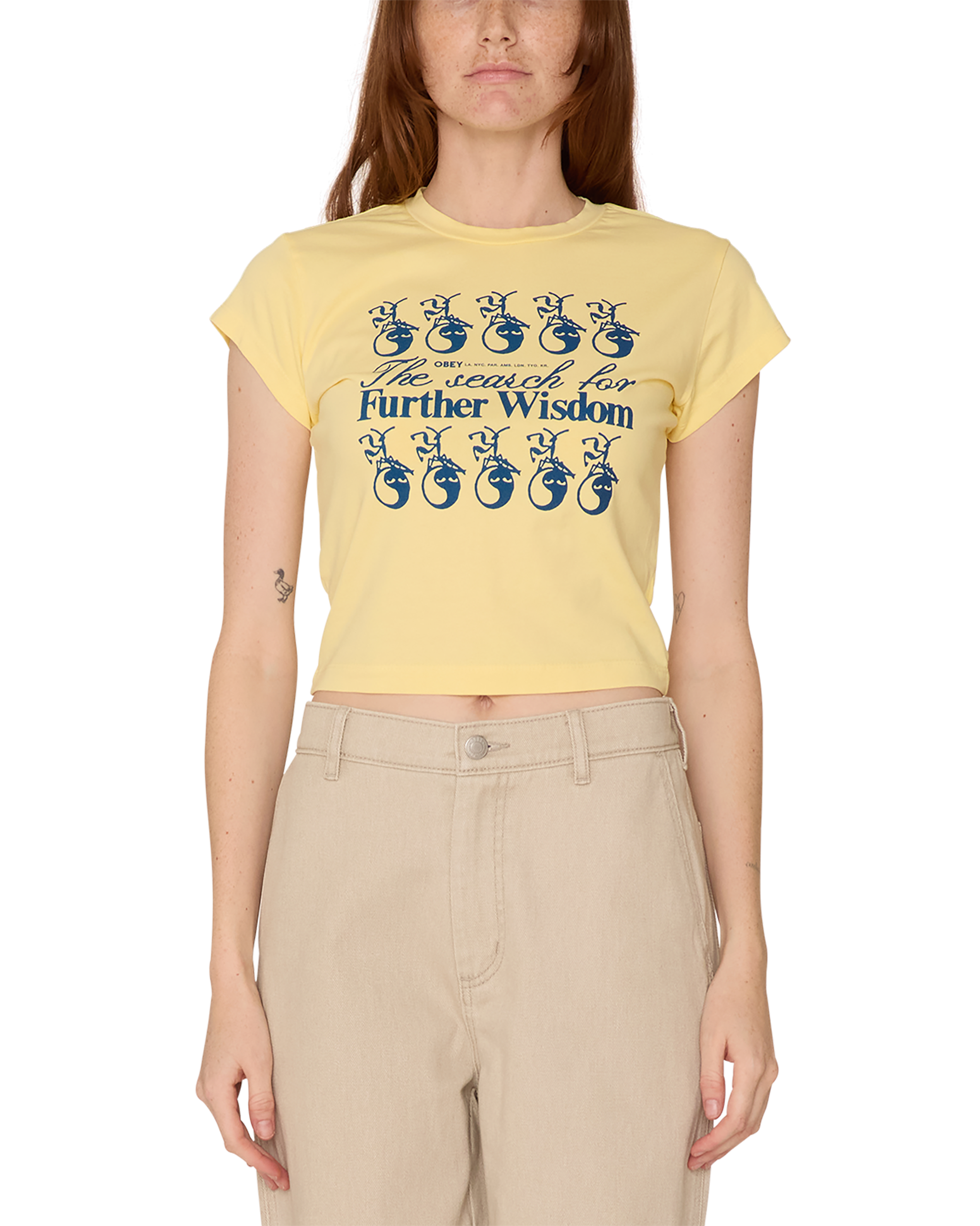 THE SEARCH FOR FURTHER WISDOM HAYDEN T-SHIRT